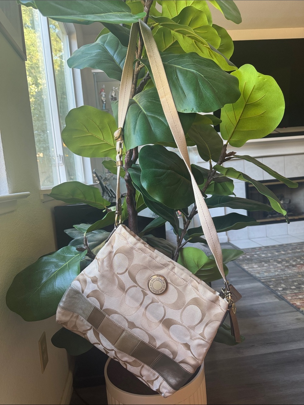 Coach Shoulder Bag in Khaki and Chalk